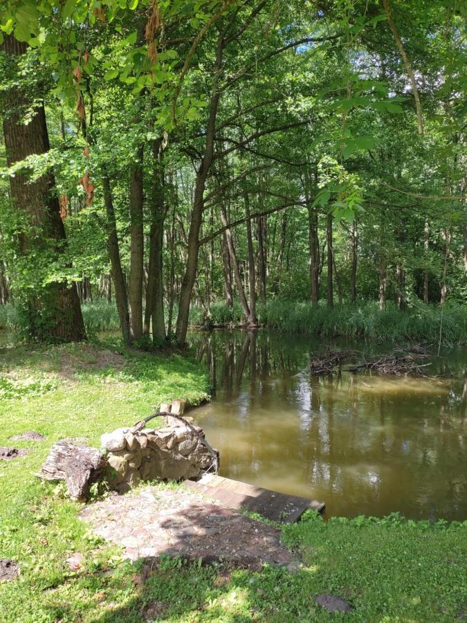 Agroturystyka Kajaki Sauna Pierogi Bakalarzewo 외부 사진